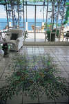 Santa Caterina 